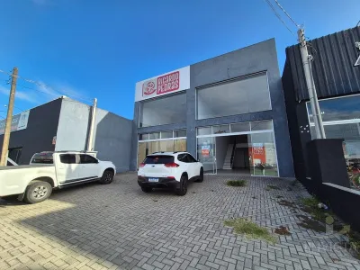 Loja em Zona Nova