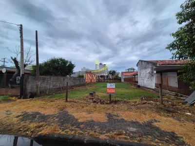 Terreno Comercial em Centro
